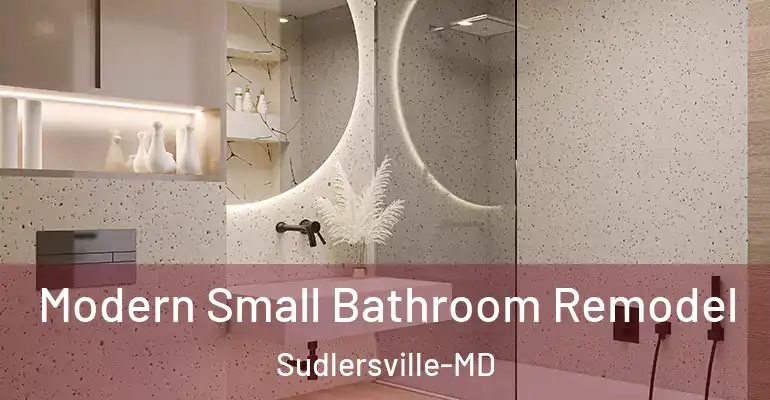 inner Bathroom imggen Modern Small Bathroom Remodel Sudlersville-MD