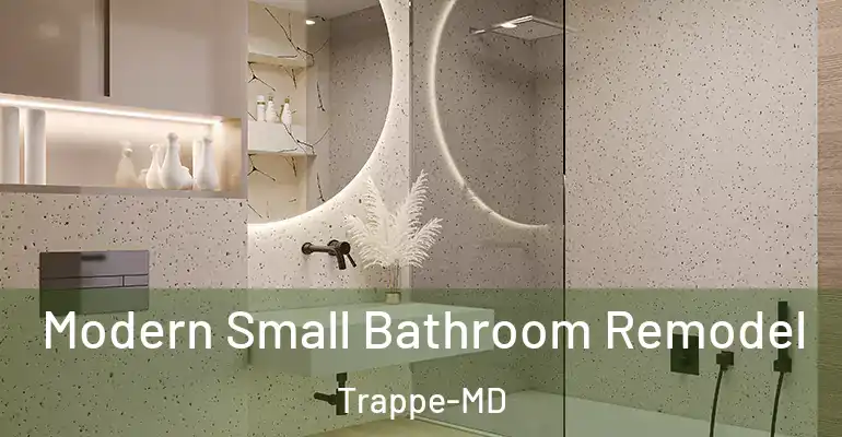 inner Bathroom imggen Modern Small Bathroom Remodel Trappe-MD