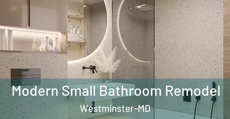 inner Bathroom imggen Modern Small Bathroom Remodel Westminster-MD