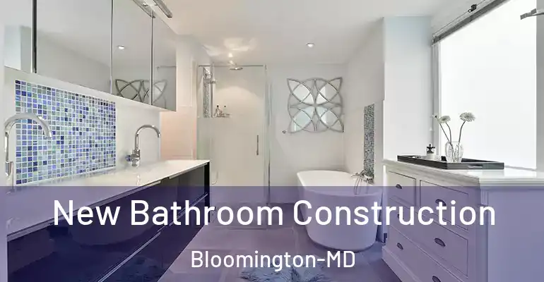 inner Bathroom imggen New Bathroom Construction Bloomington-MD