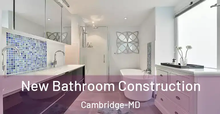 inner Bathroom imggen New Bathroom Construction Cambridge-MD
