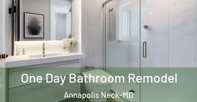 inner Bathroom imggen One Day Bathroom Remodel Annapolis Neck-MD