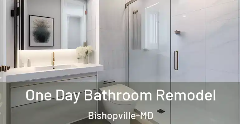 inner Bathroom imggen One Day Bathroom Remodel Bishopville-MD