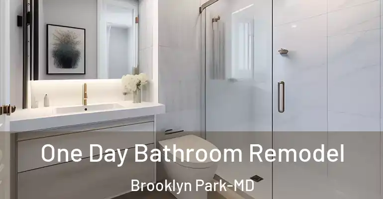 inner Bathroom imggen One Day Bathroom Remodel Brooklyn Park-MD