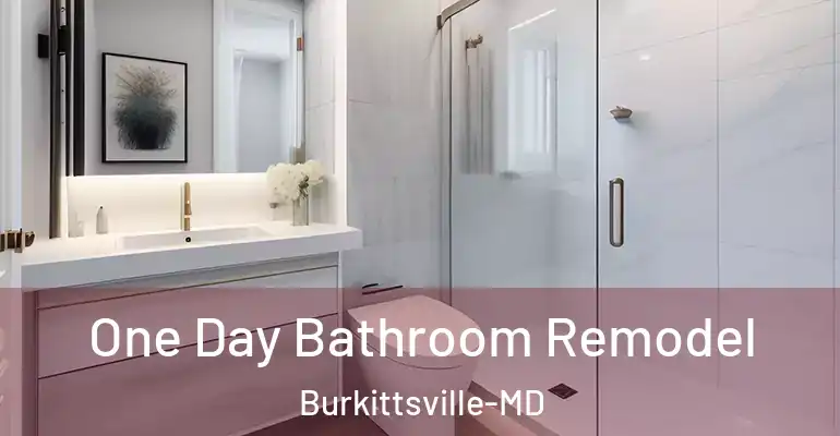 inner Bathroom imggen One Day Bathroom Remodel Burkittsville-MD