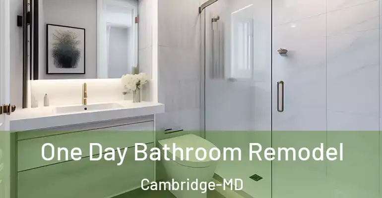 inner Bathroom imggen One Day Bathroom Remodel Cambridge-MD