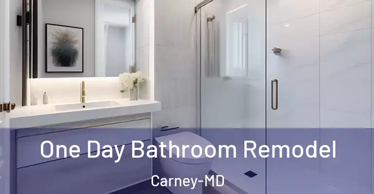 inner Bathroom imggen One Day Bathroom Remodel Carney-MD