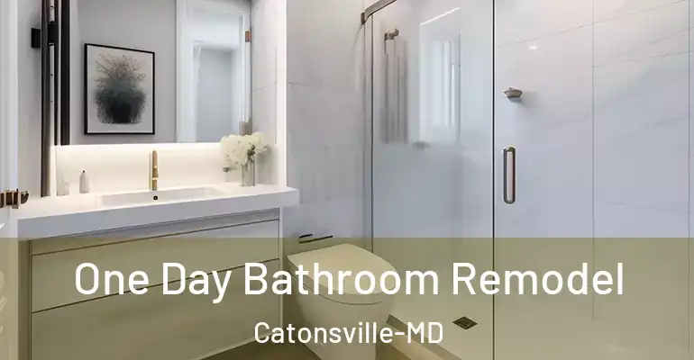 inner Bathroom imggen One Day Bathroom Remodel Catonsville-MD
