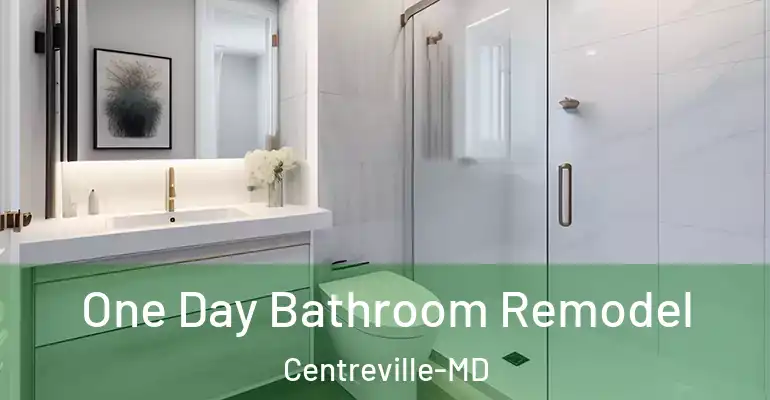 inner Bathroom imggen One Day Bathroom Remodel Centreville-MD