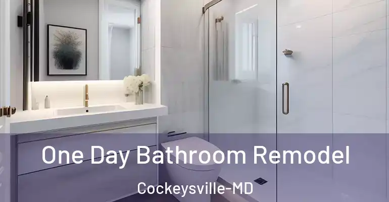 inner Bathroom imggen One Day Bathroom Remodel Cockeysville-MD