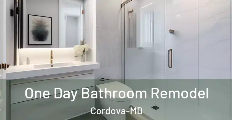inner Bathroom imggen One Day Bathroom Remodel Cordova-MD