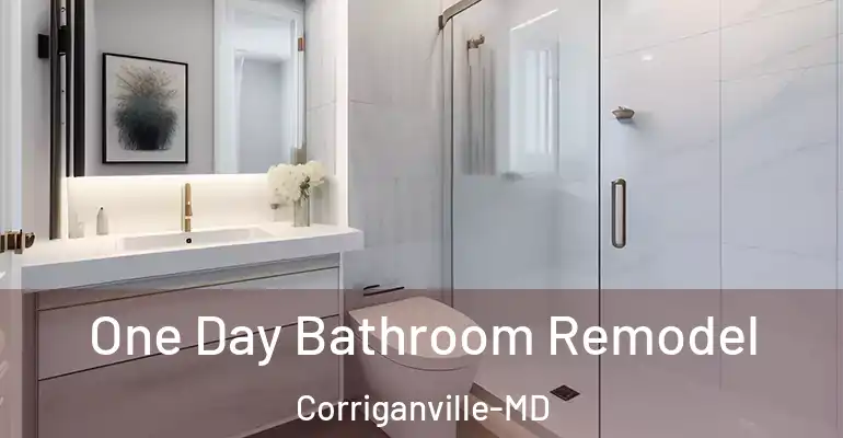inner Bathroom imggen One Day Bathroom Remodel Corriganville-MD