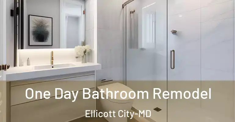 inner Bathroom imggen One Day Bathroom Remodel Ellicott City-MD