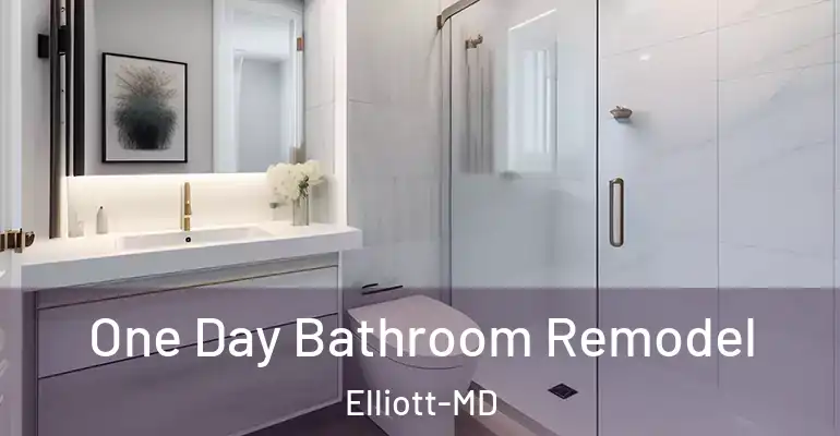 inner Bathroom imggen One Day Bathroom Remodel Elliott-MD
