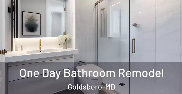 inner Bathroom imggen One Day Bathroom Remodel Goldsboro-MD