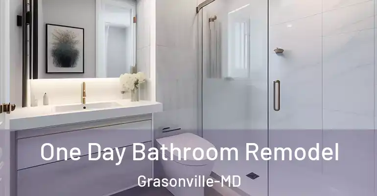 inner Bathroom imggen One Day Bathroom Remodel Grasonville-MD
