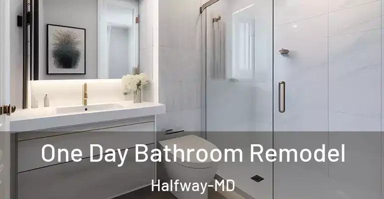 inner Bathroom imggen One Day Bathroom Remodel Halfway-MD