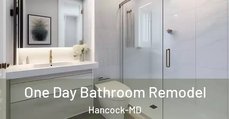 inner Bathroom imggen One Day Bathroom Remodel Hancock-MD