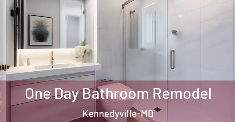 inner Bathroom imggen One Day Bathroom Remodel Kennedyville-MD