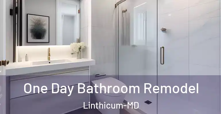 inner Bathroom imggen One Day Bathroom Remodel Linthicum-MD