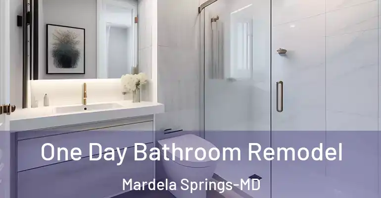 inner Bathroom imggen One Day Bathroom Remodel Mardela Springs-MD