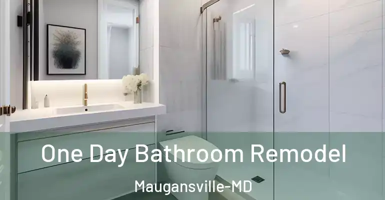 inner Bathroom imggen One Day Bathroom Remodel Maugansville-MD