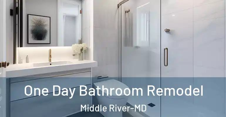 inner Bathroom imggen One Day Bathroom Remodel Middle River-MD