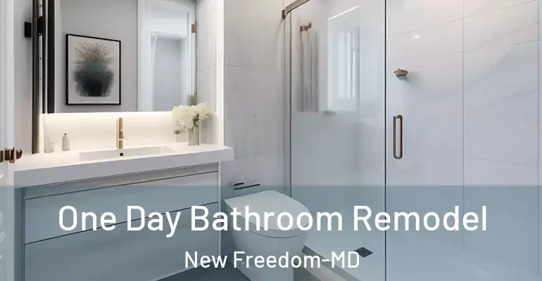 inner Bathroom imggen One Day Bathroom Remodel New Freedom-MD