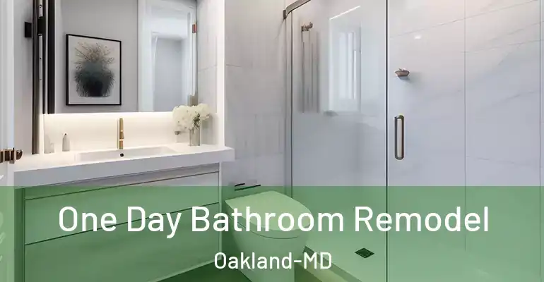inner Bathroom imggen One Day Bathroom Remodel Oakland-MD