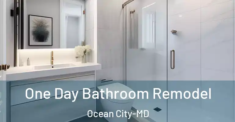 inner Bathroom imggen One Day Bathroom Remodel Ocean City-MD