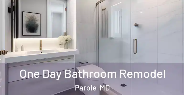inner Bathroom imggen One Day Bathroom Remodel Parole-MD