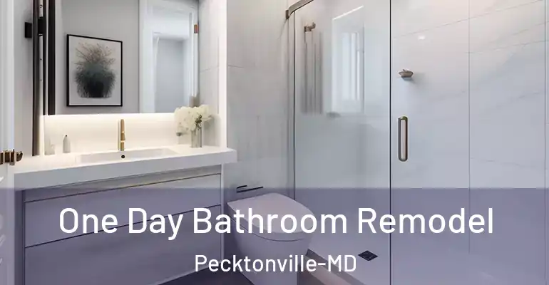 inner Bathroom imggen One Day Bathroom Remodel Pecktonville-MD
