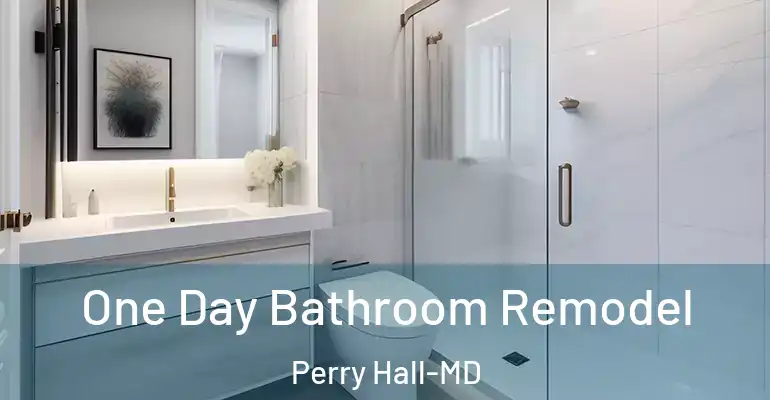 inner Bathroom imggen One Day Bathroom Remodel Perry Hall-MD
