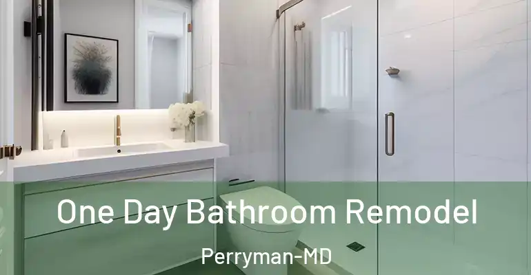 inner Bathroom imggen One Day Bathroom Remodel Perryman-MD