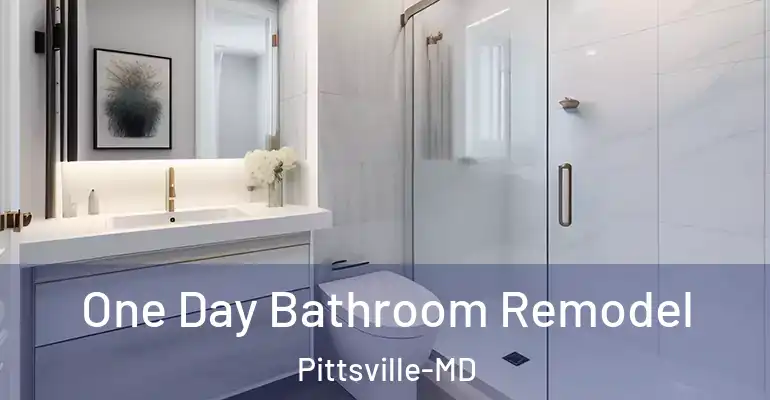 inner Bathroom imggen One Day Bathroom Remodel Pittsville-MD
