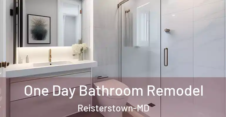 inner Bathroom imggen One Day Bathroom Remodel Reisterstown-MD