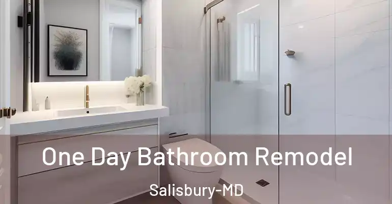 inner Bathroom imggen One Day Bathroom Remodel Salisbury-MD
