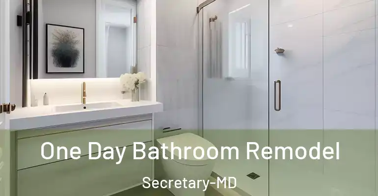 inner Bathroom imggen One Day Bathroom Remodel Secretary-MD