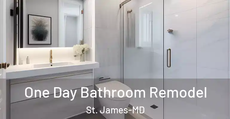 inner Bathroom imggen One Day Bathroom Remodel St. James-MD