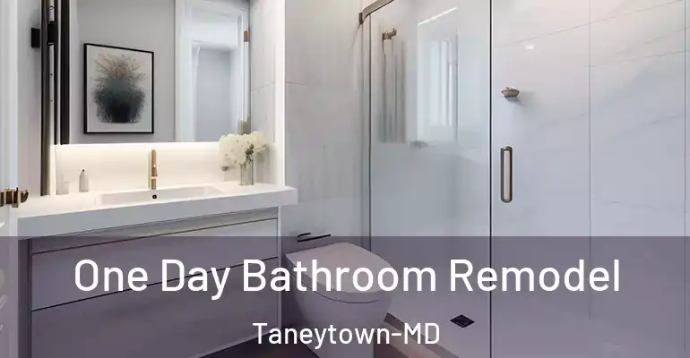 inner Bathroom imggen One Day Bathroom Remodel Taneytown-MD