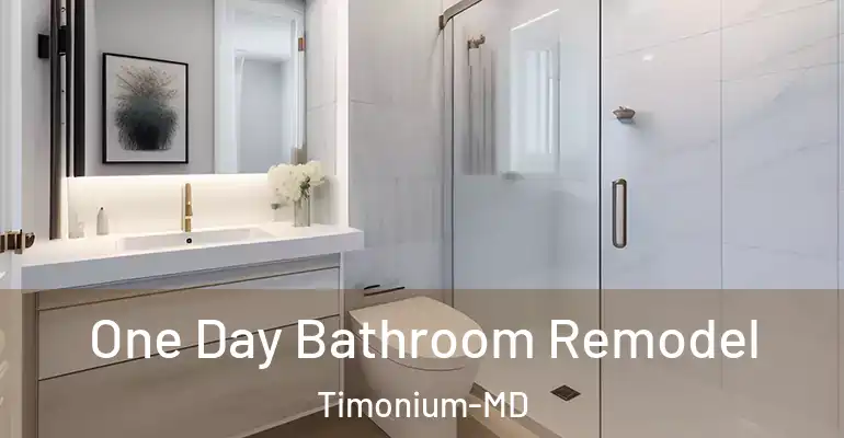 inner Bathroom imggen One Day Bathroom Remodel Timonium-MD