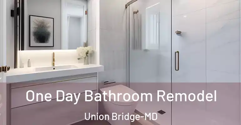 inner Bathroom imggen One Day Bathroom Remodel Union Bridge-MD