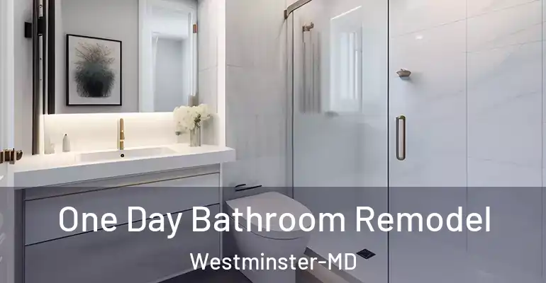 inner Bathroom imggen One Day Bathroom Remodel Westminster-MD