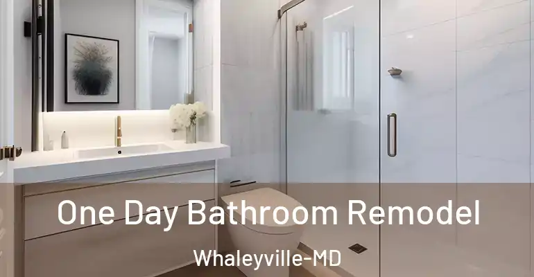 inner Bathroom imggen One Day Bathroom Remodel Whaleyville-MD