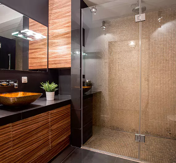 Why Choose Elite Bathroom Remodeling for Quality Tub to Shower Conversion Services in Towson, MD?