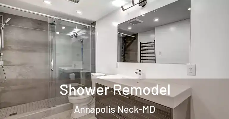 inner Bathroom imggen Shower Remodel Annapolis Neck-MD
