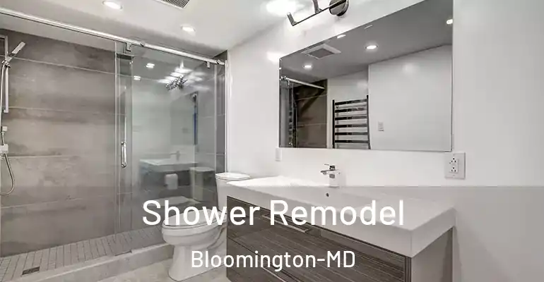 inner Bathroom imggen Shower Remodel Bloomington-MD