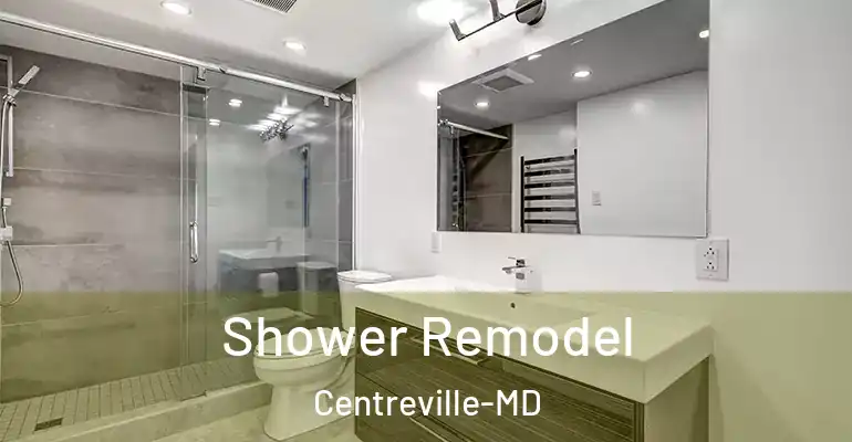 inner Bathroom imggen Shower Remodel Centreville-MD