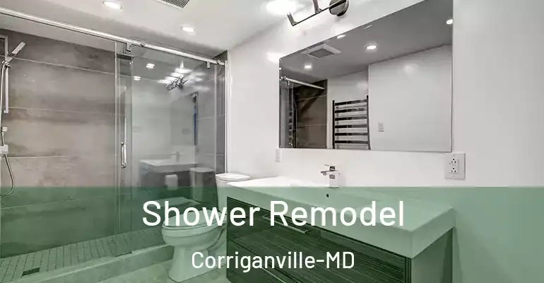inner Bathroom imggen Shower Remodel Corriganville-MD