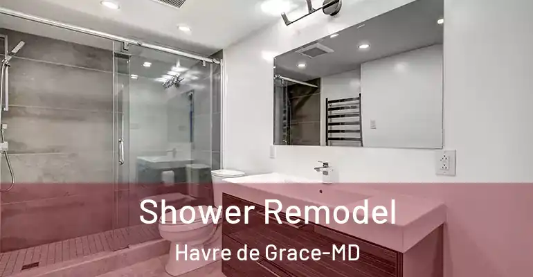 inner Bathroom imggen Shower Remodel Havre de Grace-MD